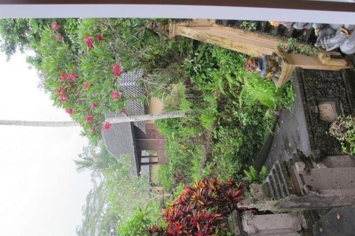 Rumah Bintang Kuning