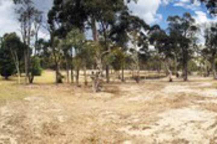 Property Grounds 21 of 30
