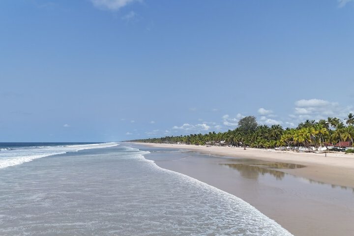 Beach 86 of 113