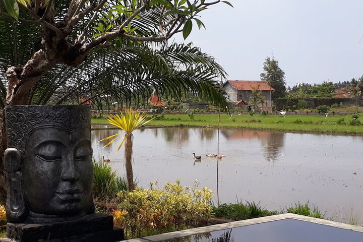 Hotel Pool