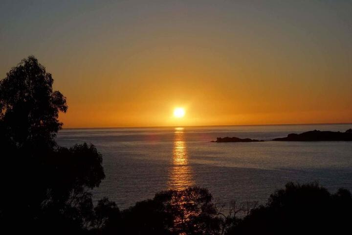 Image of BAY OF FIRES SEACHANGE Ocean frontage