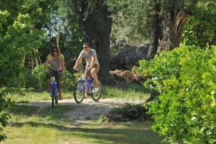 Outdoor Activities 14 of 24