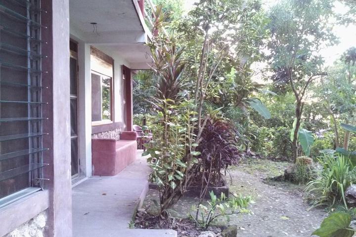 Property Grounds 59 of 67