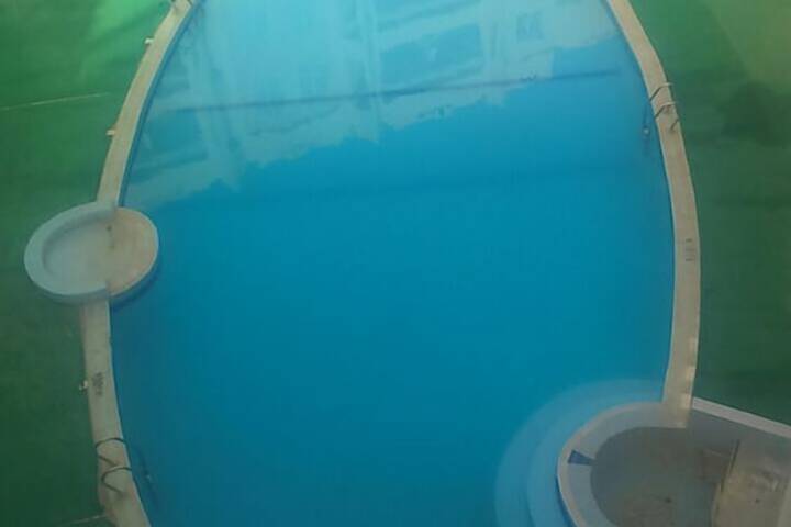 Pool 7 of 8
