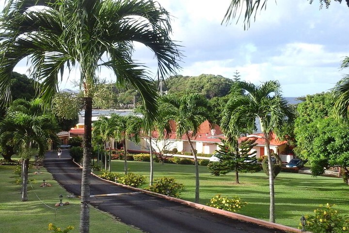 Property Grounds 53 of 75