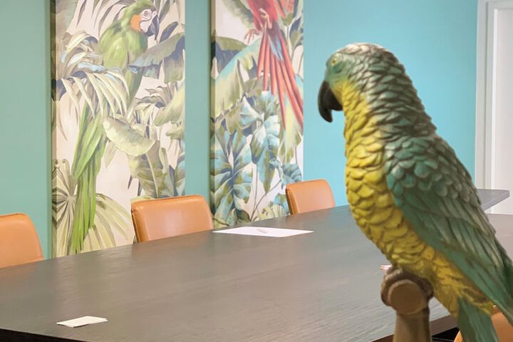 Meeting 45 of 48