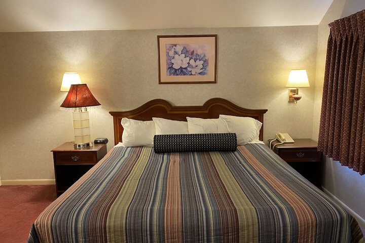 Deluxe King Bed (3 of 30)