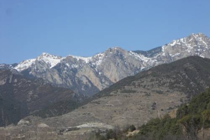 General 5 of 7