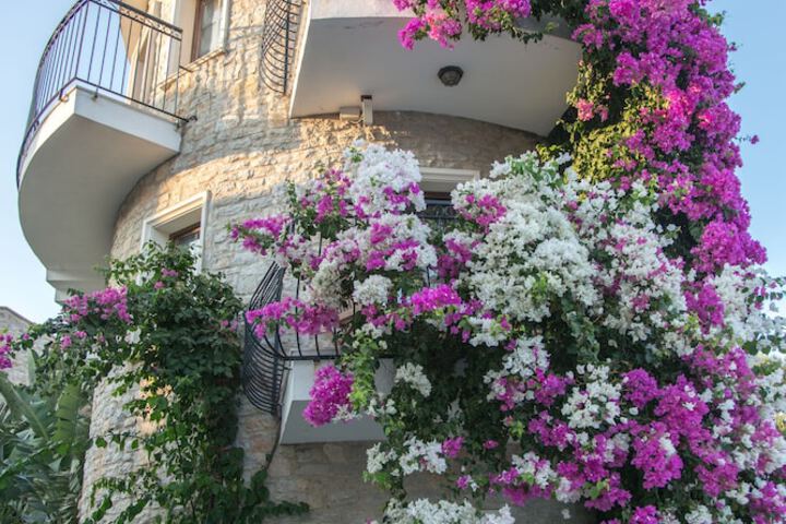 Outside Photo