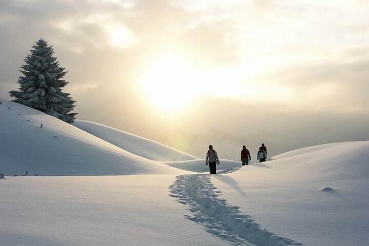 Hiking