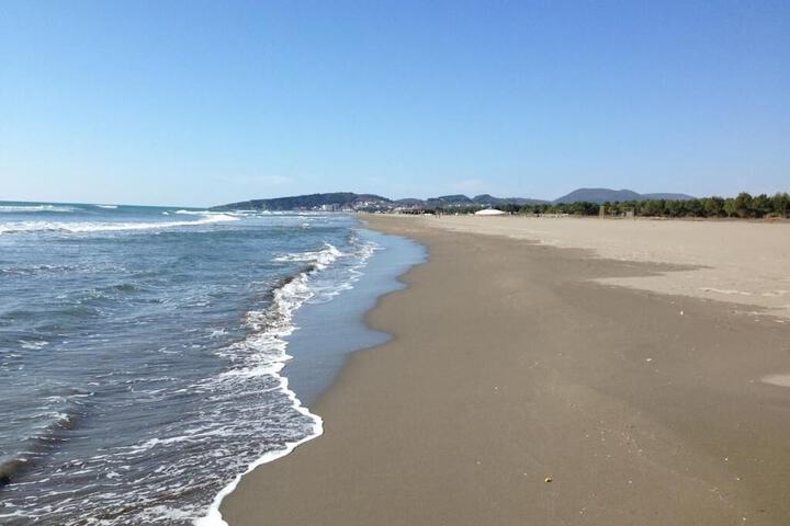 Beach 38 of 39