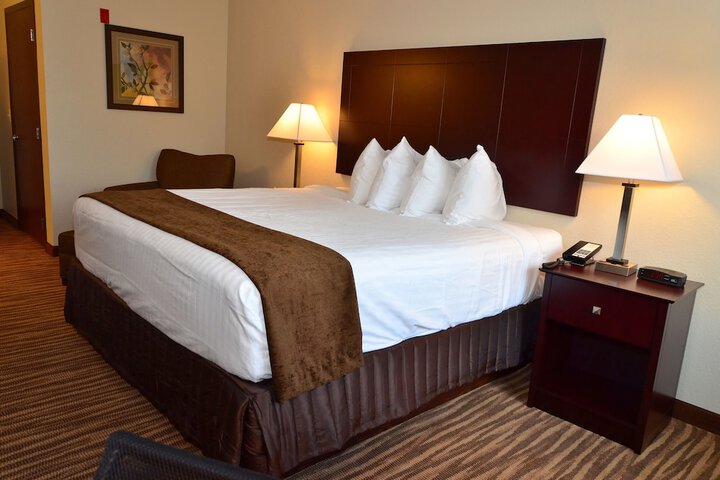 1 King Bed Accessible (11 of 23)