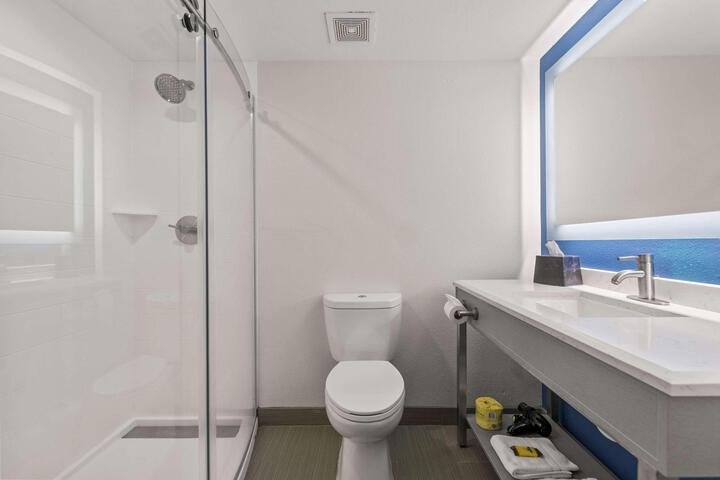 Accessible Suite 1 King Bed Accessible Bathtub Sofa Bed Full Breakfast (12 of 20)