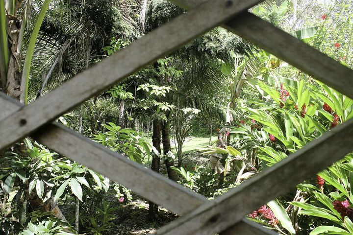 Property Grounds 12 of 13
