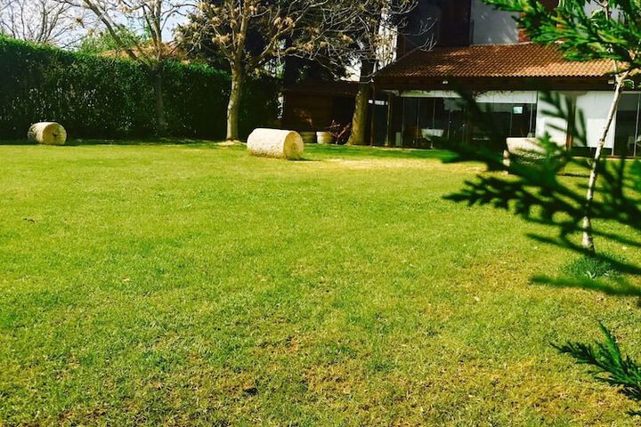 Property Grounds 19 of 22