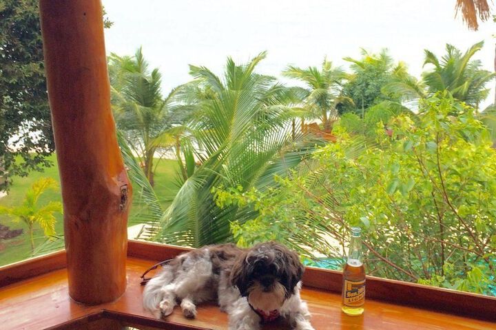 Pet Friendly 36 of 67