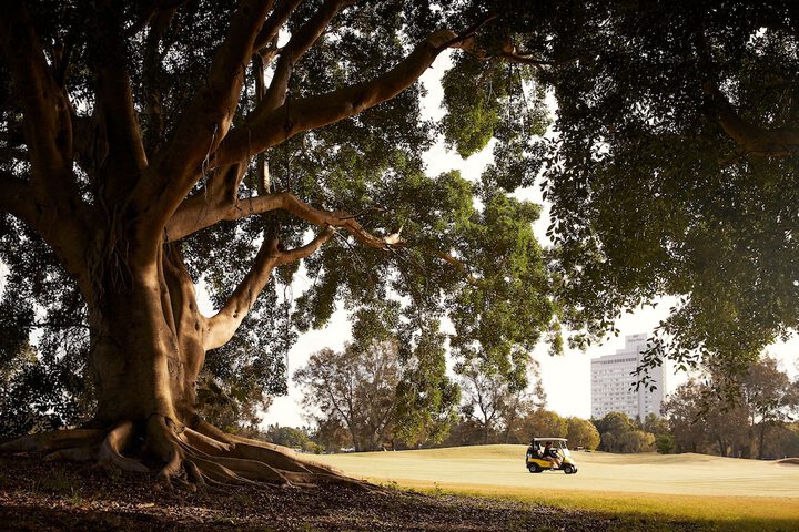 Golf 42 of 79