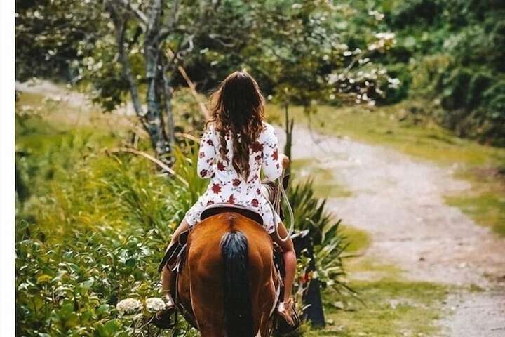 Horseback riding