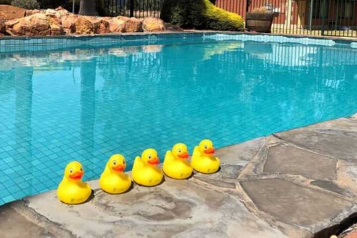 Pool 104 of 143
