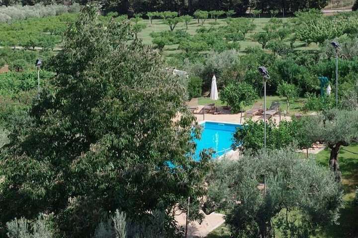 Hotel Pool