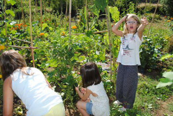Childrens Activities 23 of 94