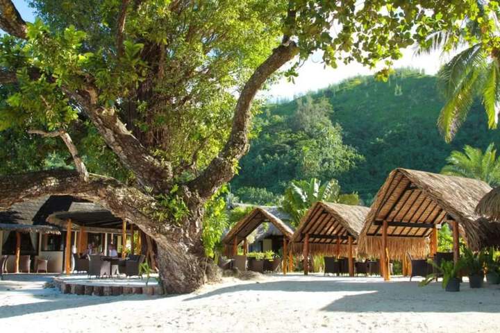 Restaurants