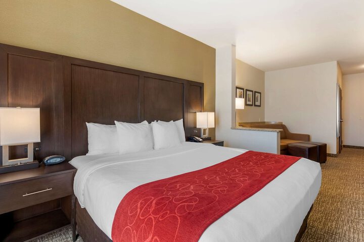 1 King Bed Suite (4 of 16)
