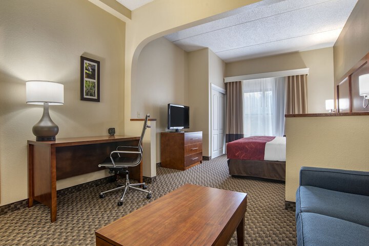 Suite King Bed Accessible (7 of 23)