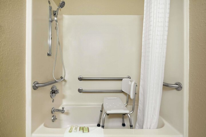 1 Queen Bed Accessible Room (2 of 13)