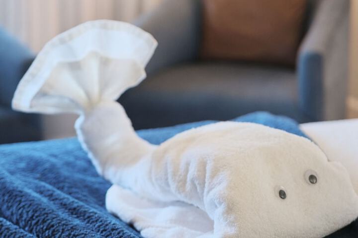 Room amenity
