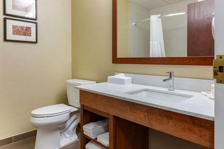 1 King Bed Suite (17 of 22)