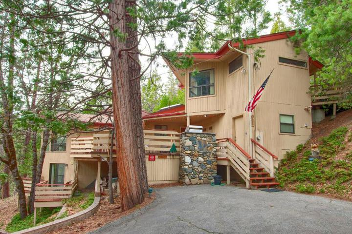 Photo of Pohono Pines