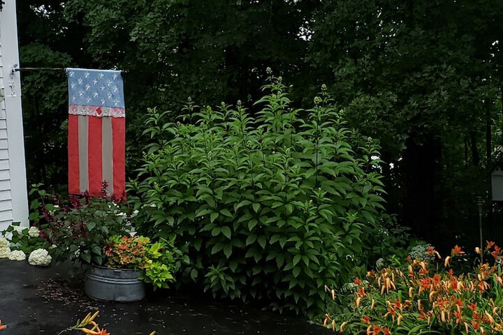 Hotel Exterior 46 of 46