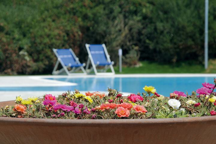 Pool Hotel