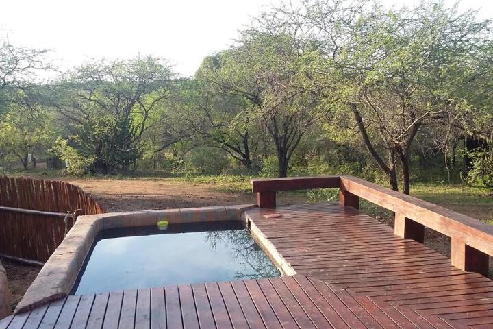 Marloth Kruger Whispering Ants
