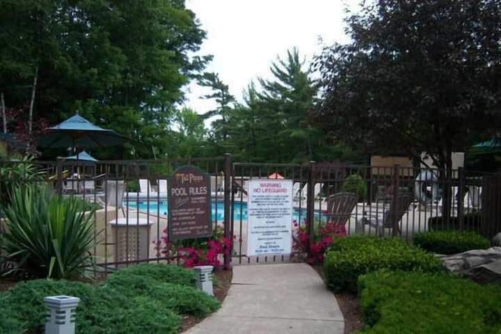 Pool 10 of 65