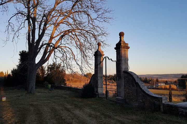 Property Grounds 29 of 38