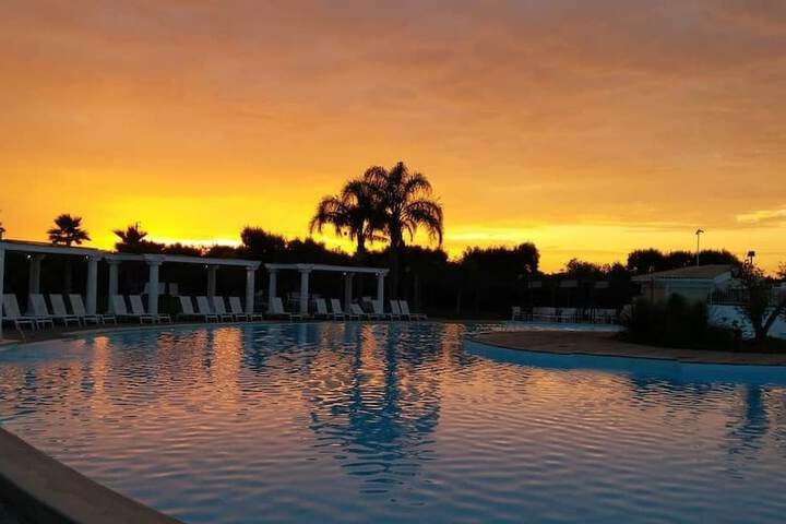 Pool 43 of 120