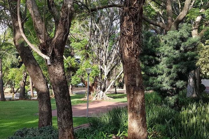 Garden view
