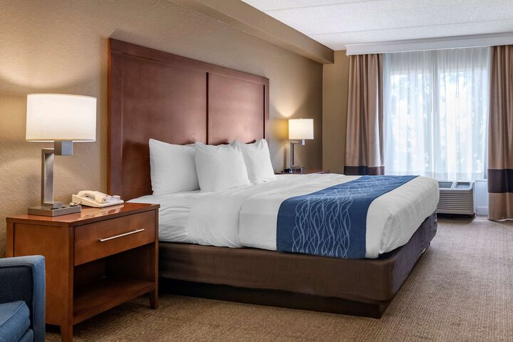 Standard | King Bed (3 of 10)