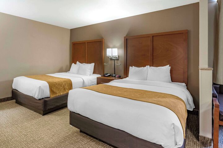 2 Queen Beds Business Room Accessible (1 of 13)