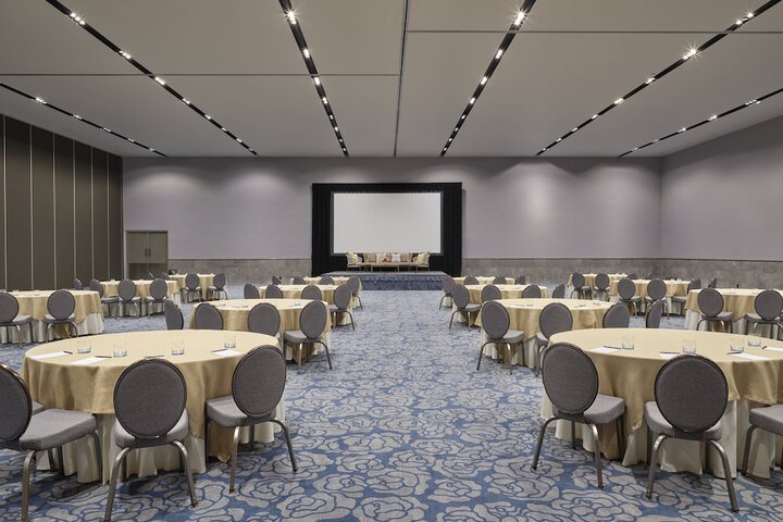 Meeting 233 of 283
