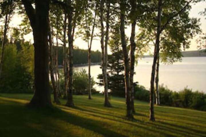 Property Grounds 17 of 26