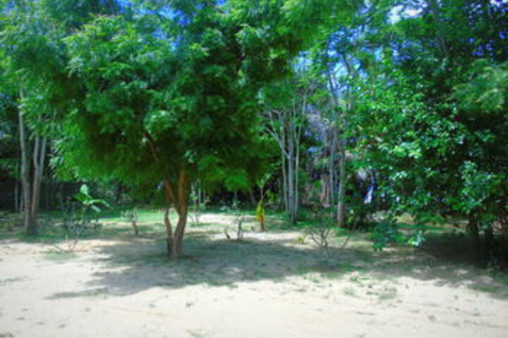 Property Grounds 13 of 17