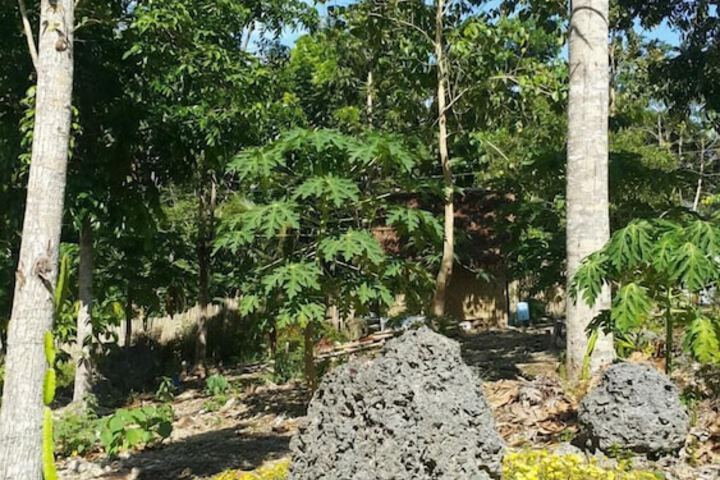Property Grounds 11 of 22