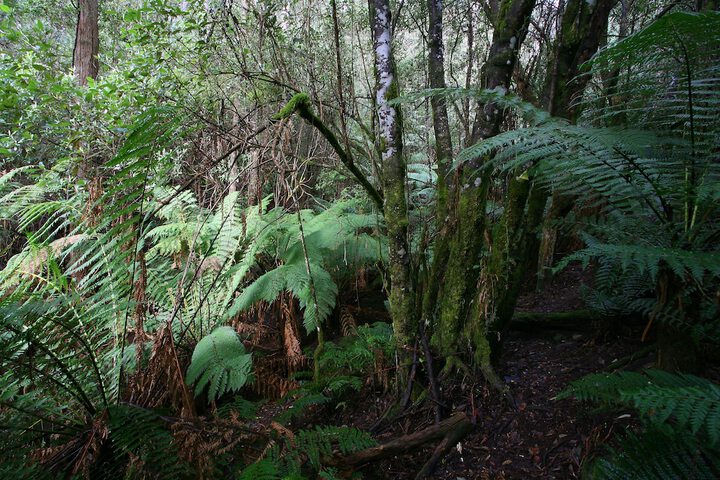 Property Grounds 51 of 66