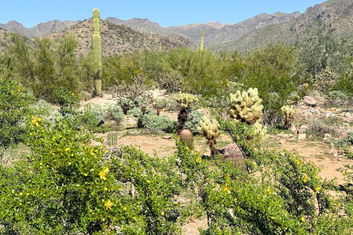 Water Sports 67 of 113