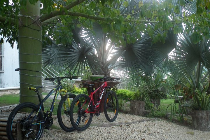 Outdoor Activities 20 of 36