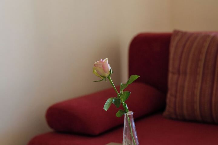 Room 5 of 55