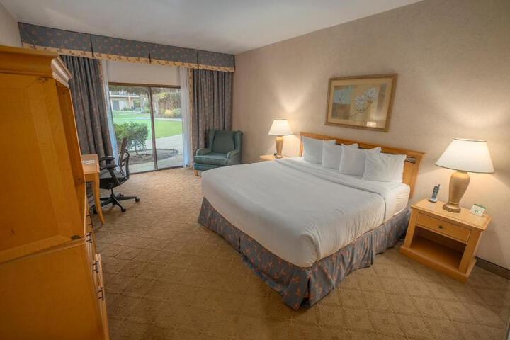 1 King Bed Accessible (13 of 17)